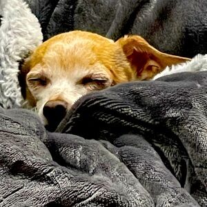 Meet your Posher, Jenjua